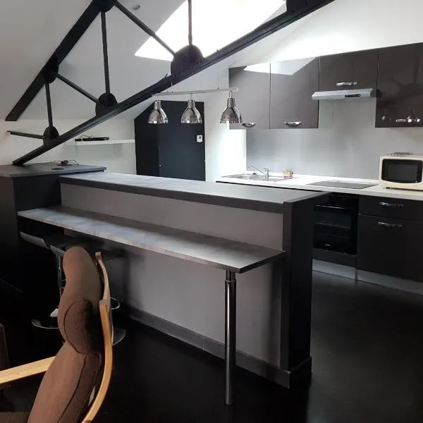 APPARTEMENT LOFT CROIX LILLE, hotel v destinácii Croix