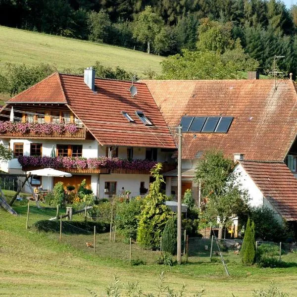 Ferienhaus Gehring, hotel v destinaci Schuttertal
