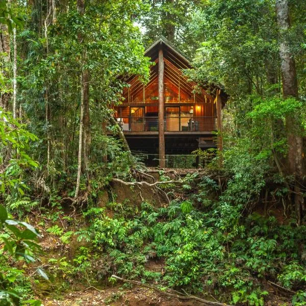 The Canopy Rainforest Treehouses & Wildlife Sanctuary، فندق في Tarzali