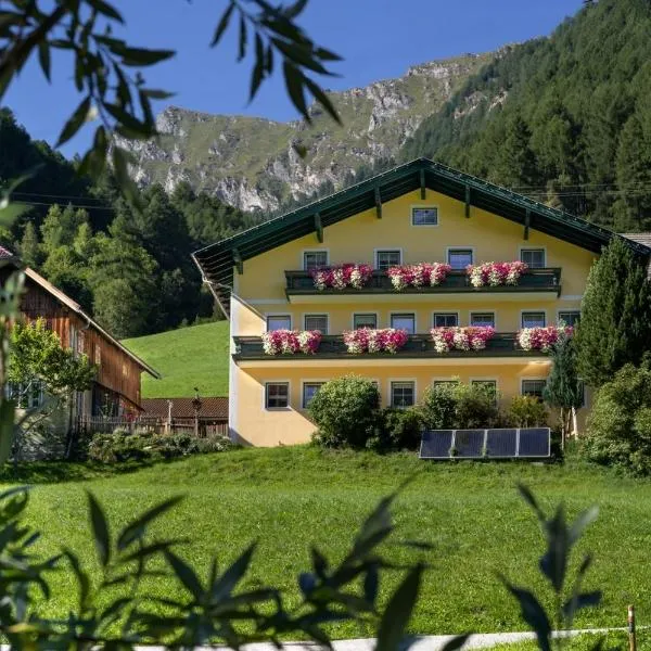 Pension Waldhauser, hotel em Rennweg