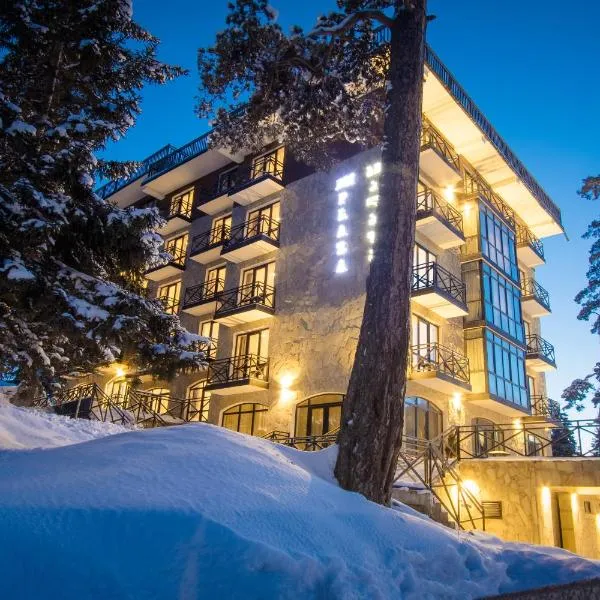 BM Plaza, hotel v destinaci Bakuriani