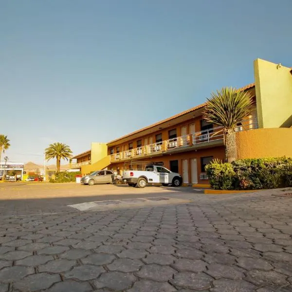 HOTEL & SUITES MARROD、チワワのホテル