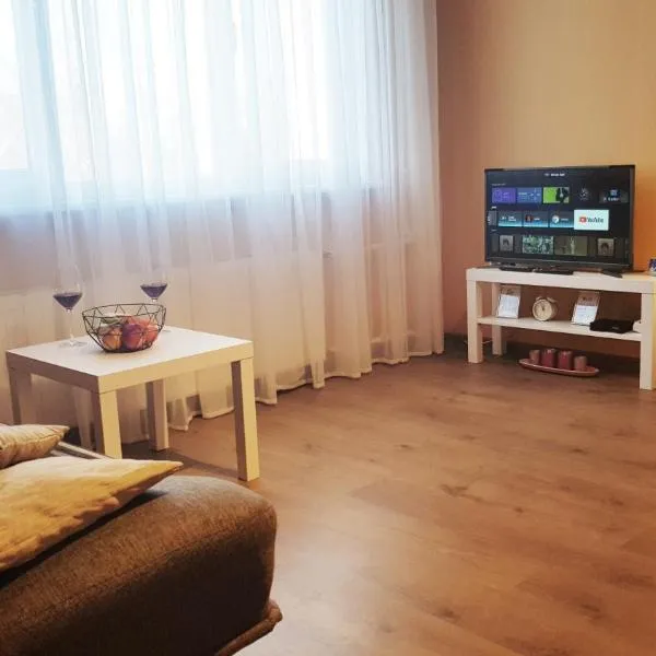 Birch view apartment, hotel in Jelgava