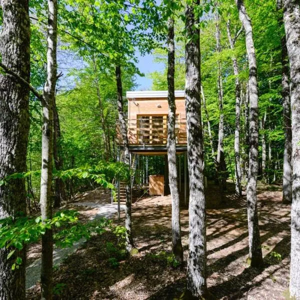 Treehouse Lika1, hótel í Sveti Rok