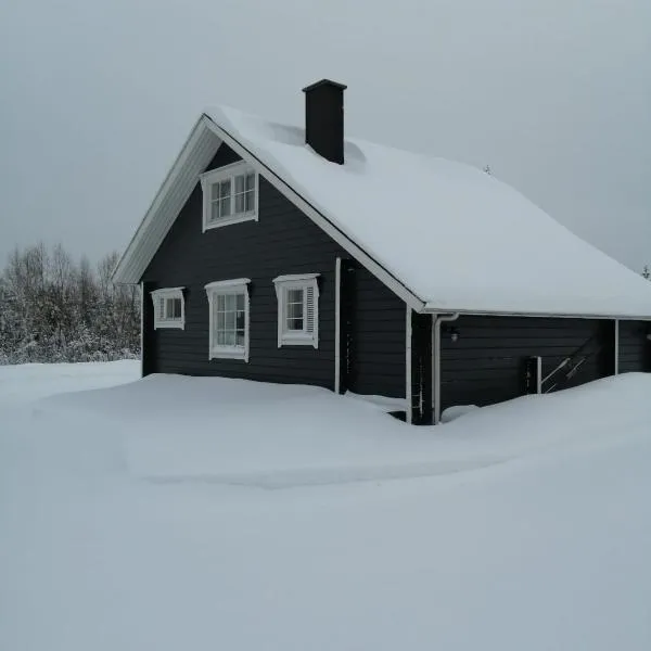 Villa Kunkku, hotell i Ylitornio