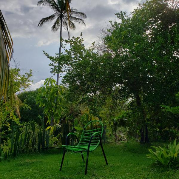 Casa Branca - Foto 5