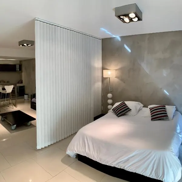 Soho Luxury Loft, hotel in Buenos Aires