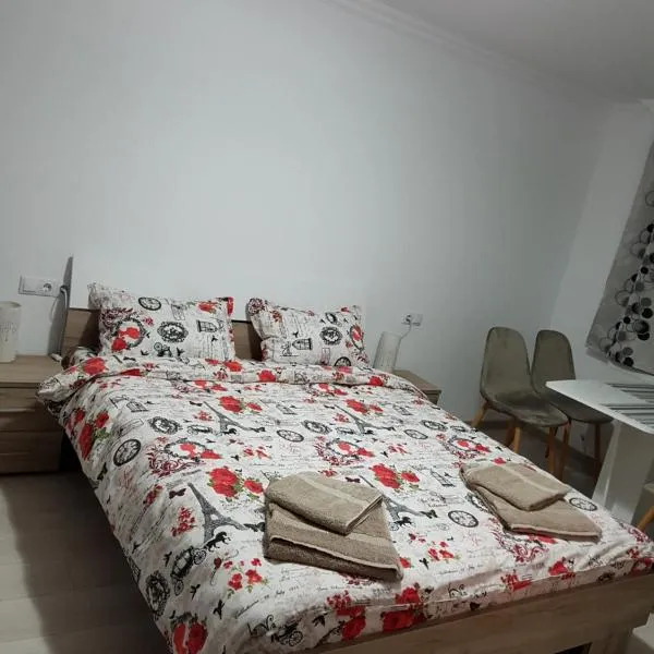 Garsoniera Stefan: Călăraşi şehrinde bir otel