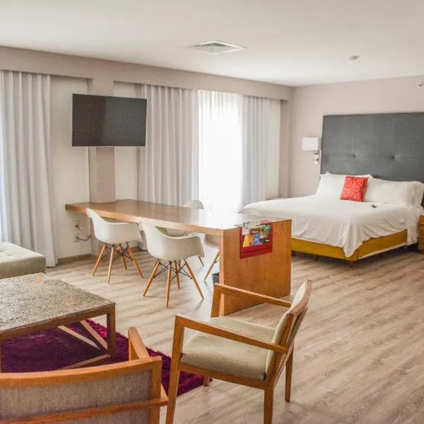 Stain Loft & Suites, hotel v destinaci Irapuato