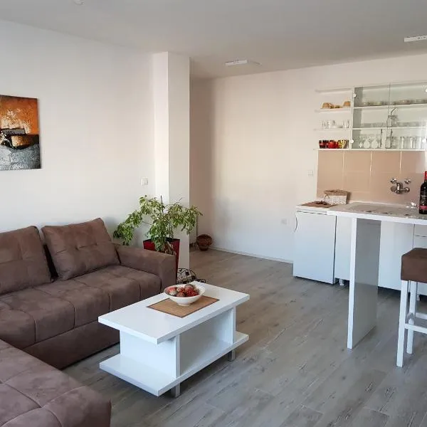 Apartment GEA 1, hotel in Novi Sad