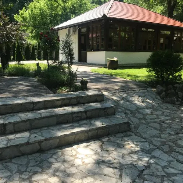 ATRIUM Holiday home, hotel in Ćoralići