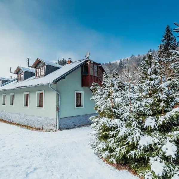 Chata pod Mravenečníkem, hotel v destinaci Loučná nad Desnou