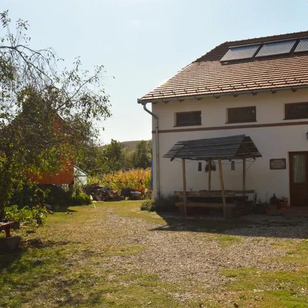 Pensiune Agroturistica Hanna, hotel em Baraolt