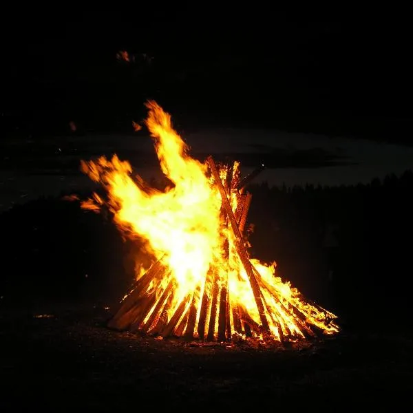 Pohlametsa Holiday House, отель в городе Nüpli