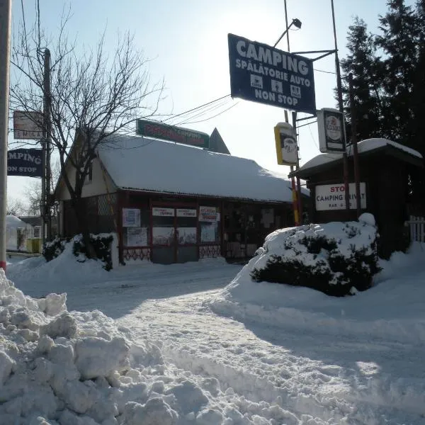 Camping Paradisul Soferilor, hotel in Bogdana