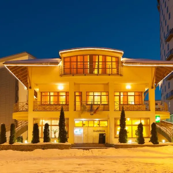 Penzión Kamélia, hotel in Babkov