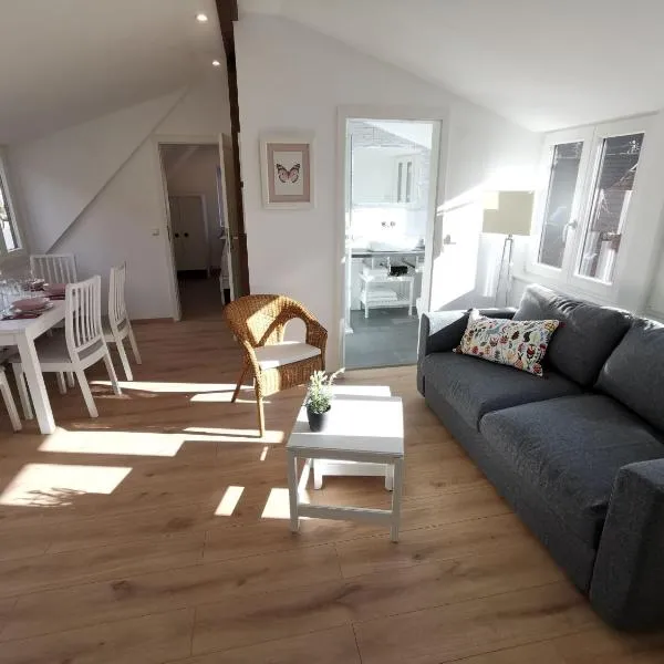 Ferienwohnungen Flussufer - Neckargemünd Altstadt, hotel in Neckargemünd