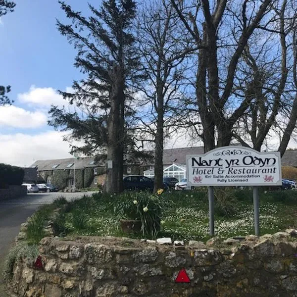 Nant Yr Odyn Country Hotel & Restaurant Ltd、スランゲヴニのホテル