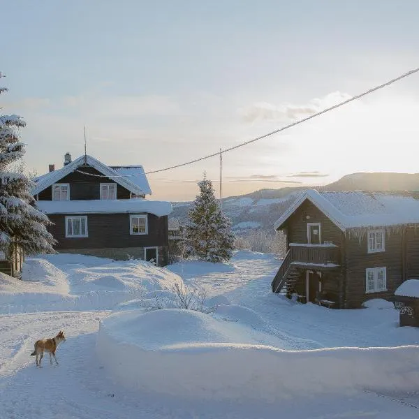 Eikre Fjellgård, hotel en Hemsedal