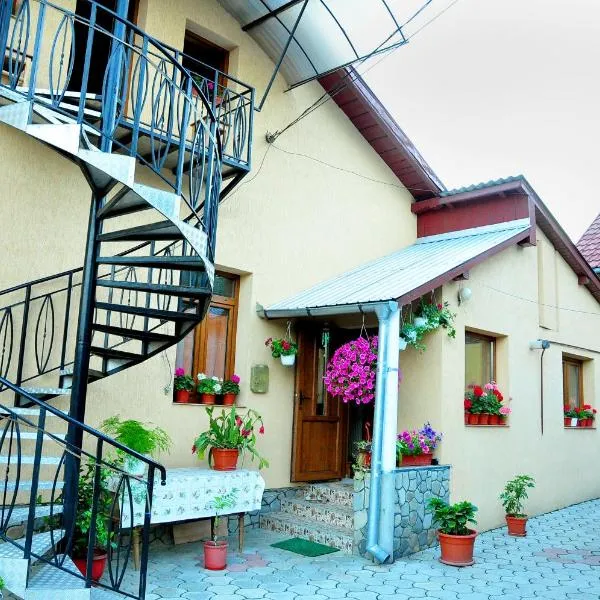 Casa Maria, hotel in Gura Humorului