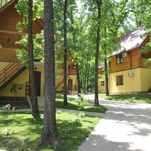 Вілія, hôtel à Lomacineţi