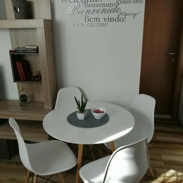 Apartman Gušt、ヘルツェグ・ノヴィのホテル