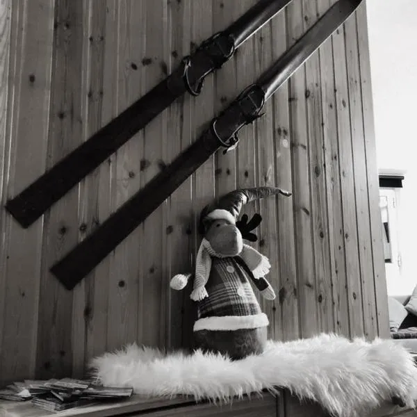 Chalet Fiocco di neve, Passo del Tonale، فندق في باسو ديل تونالي