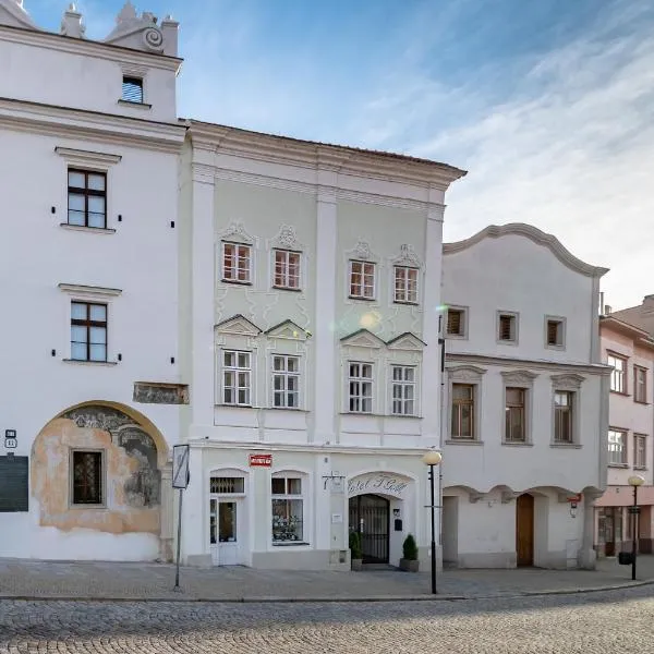 TGM Hotel Residence, hotel in Znojmo