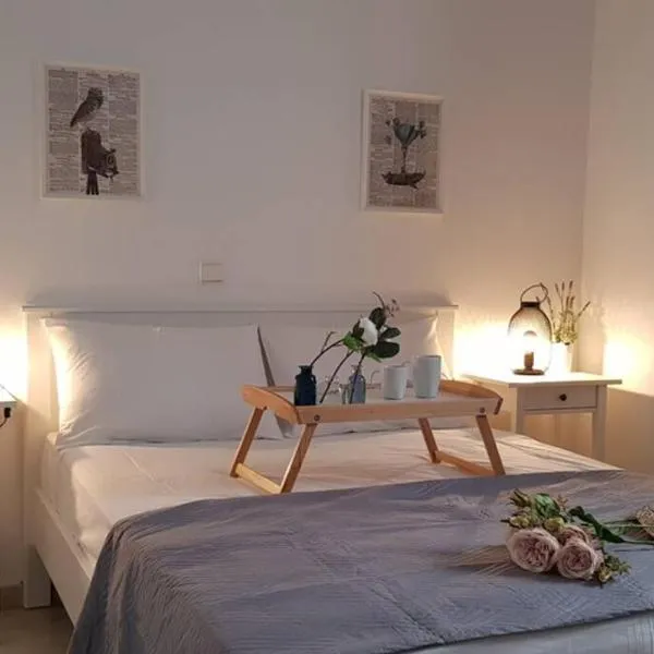 Camara House, Antiparos, hotel in Andiparos