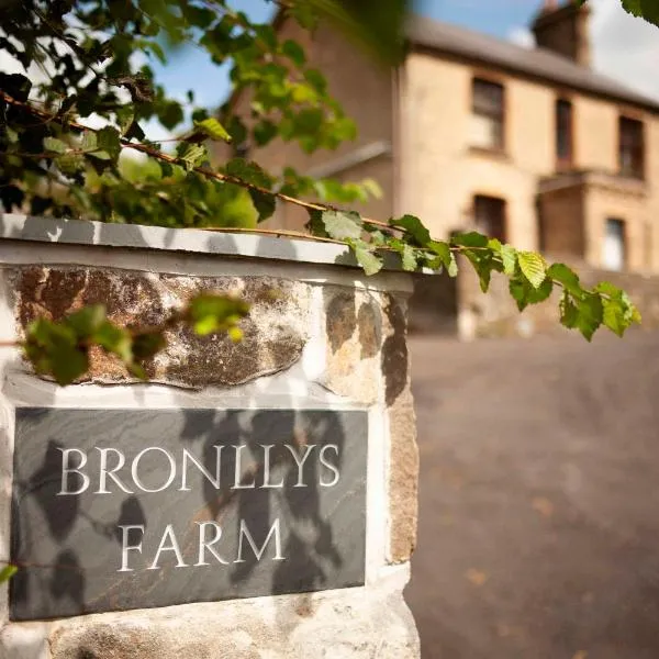 Bronllys Farm Coastal Self-Catering, hotel en Pembrey
