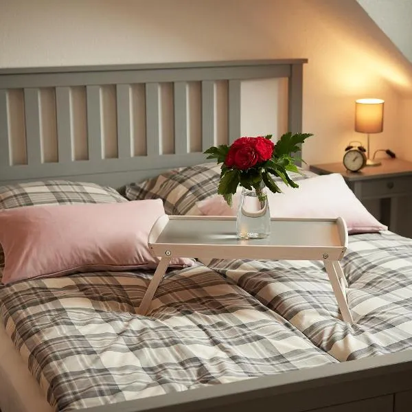 Schusterbude โรงแรมในบาดซัลซูเฟลน