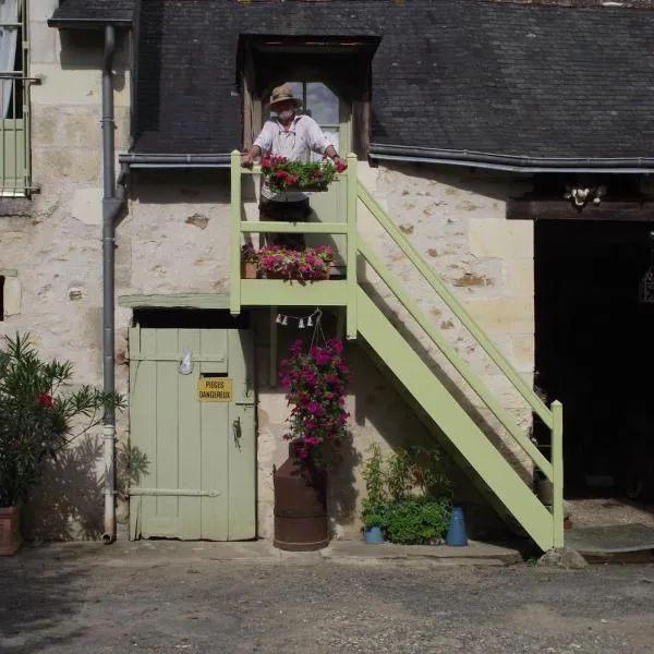 Chambre d'hôtes Le Vaujoint, מלון בCheillé