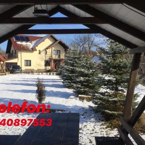 Pensiunea 7 Brazi, hotel v destinaci Poiana Mărului