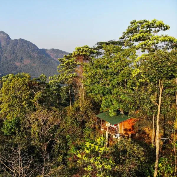 Tree Houses by Jungle River, hotell sihtkohas Ginigathena