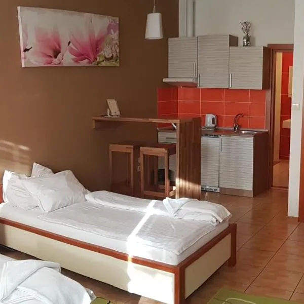 Alex Pension, hotell sihtkohas Prešov