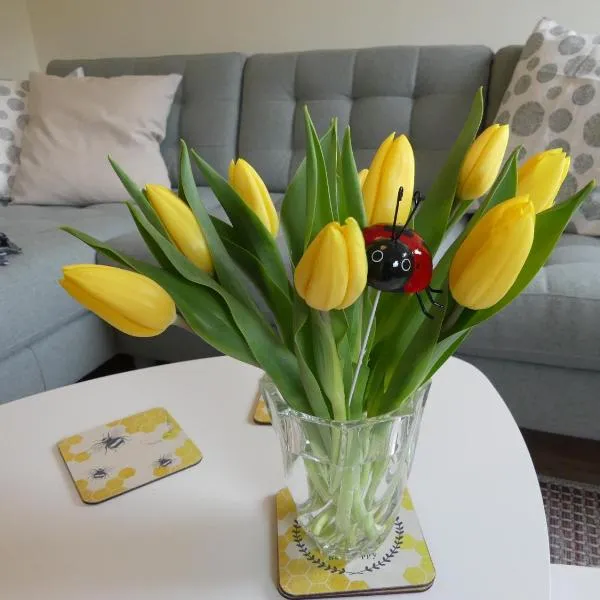 Ferienwohnung Sünteltraum, hotel in Hameln