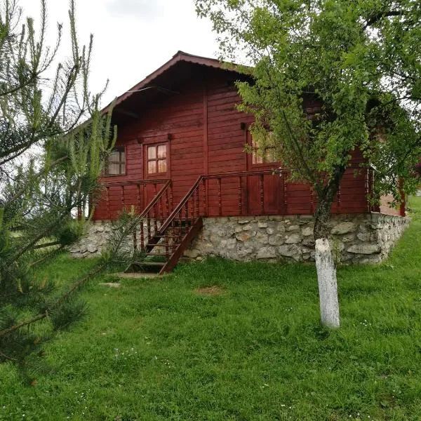 Pensiunea Gernik 100, hotel v destinaci Gârnic