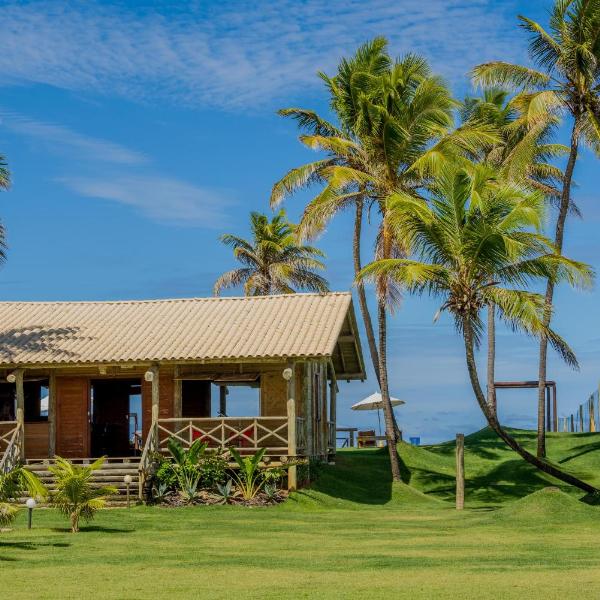 Tree Bies Resort - Oficial - Foto 5