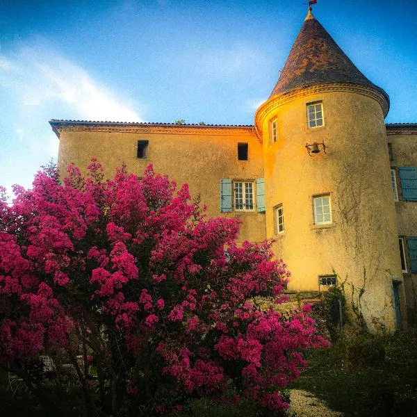 Chateau Gros Puy, Petit Chateau chambre d'hote – hotel w mieście Abjat