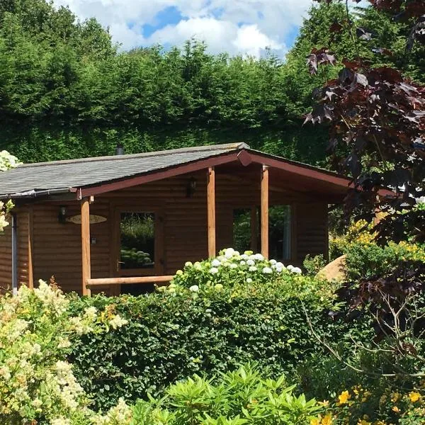 East Crinnis Log Cabin, hotel u gradu 'Par'