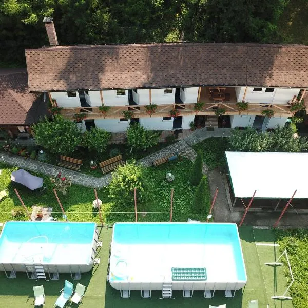 Pensiunea Serbeca, hotel in Broşteni