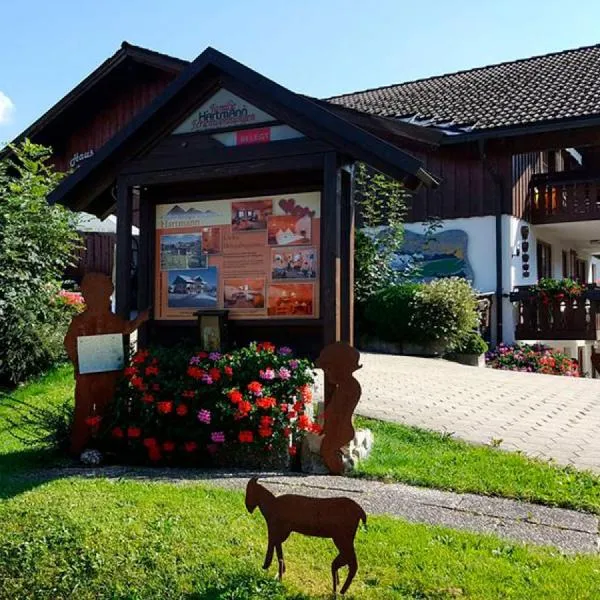 Ferienwohnung Hartmann, hotel in Obermaiselstein