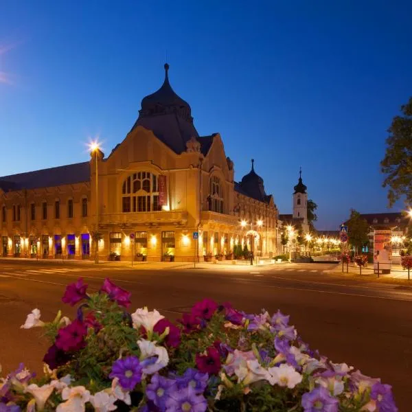 Hotel Queen Elizabeth Superior, hotel in Isaszeg