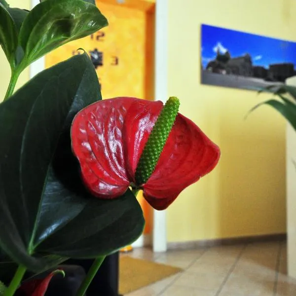B&B Da Rì, hotel in Catania