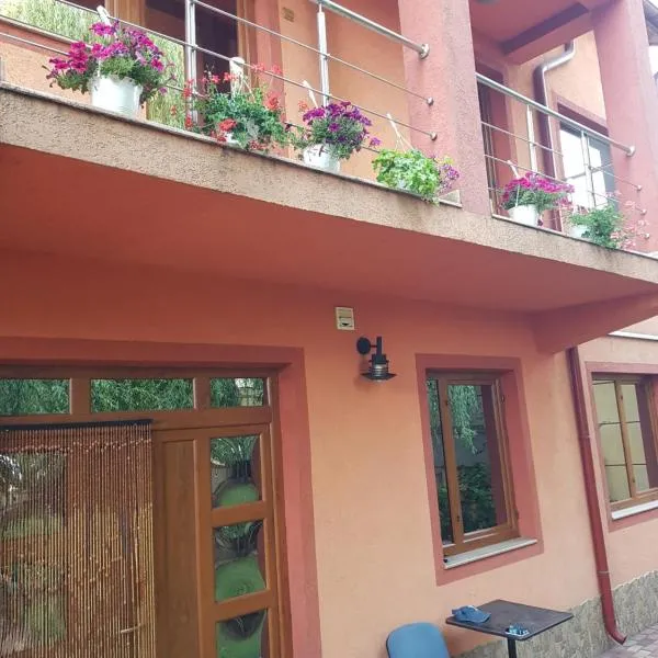 Vila Mario, Hotel in Galaţi