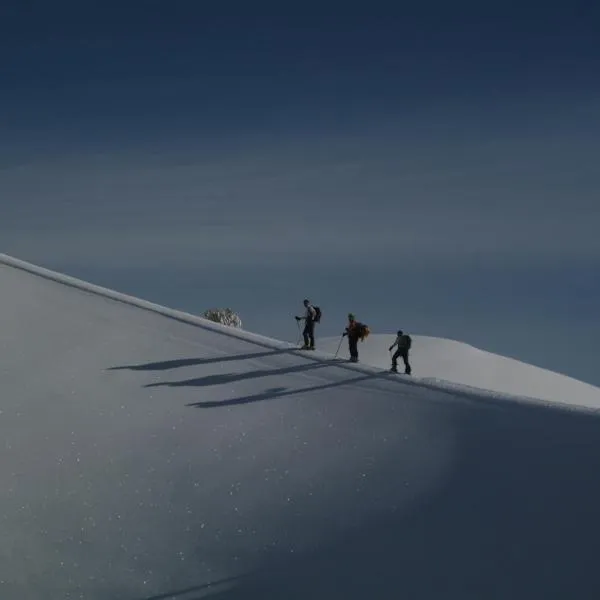 리구아로싸에 위치한 호텔 Rifugio Il Ginepro dell'Etna