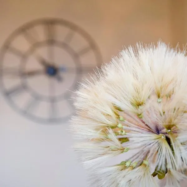 테인에 위치한 호텔 Springfield guest house