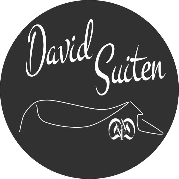 DAVID SUITEN, hotel v destinácii Mauterndorf