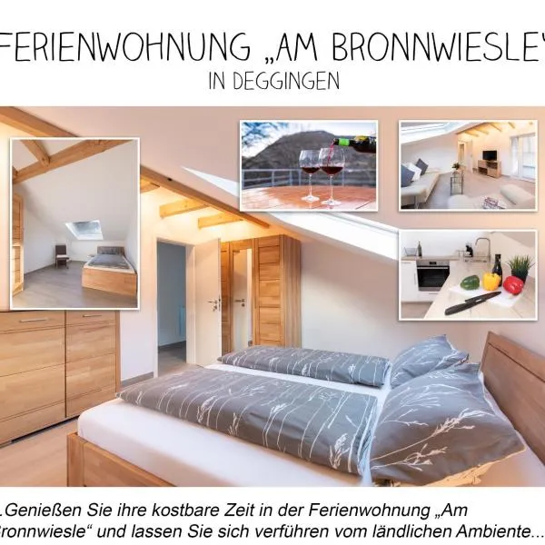 Ferienwohnung *Am Bronnwiesle*，Deggingen的飯店