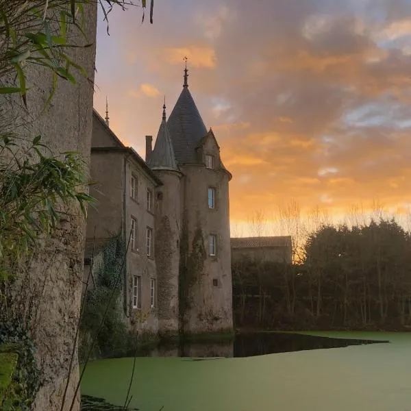 Château de la Preuille Bed & Breakfast, hotel v mestu Boufféré